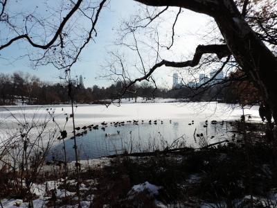 Dug-Pond-ach-daher-kommt-der-Name