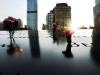 Ground-Zero-with-flowers