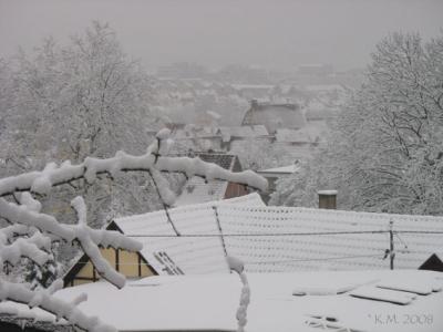 Winterausblick Dez. 2008