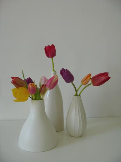 Tulpen