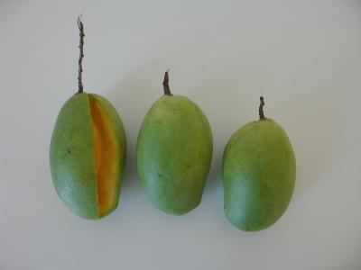 mangos