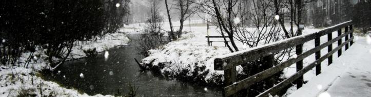 winter