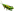 Cricket-k