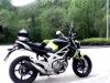 Gladius-01