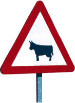Kuh-Schild
