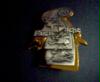 bild(3)1