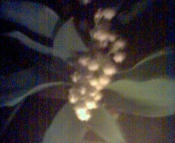bild10
