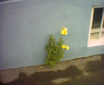 bild111