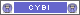 cybibuttondouble