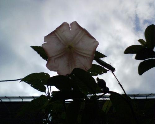 dsc00256