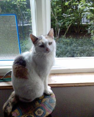 lucie2