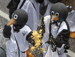 pinguine-laufen256