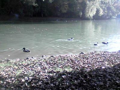 anlage