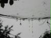 regen