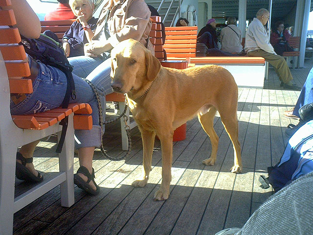 2006-10-09_Alpnachstad05