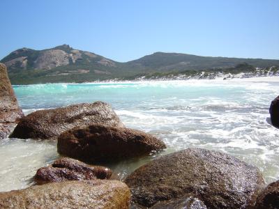 Thistle-Cove
