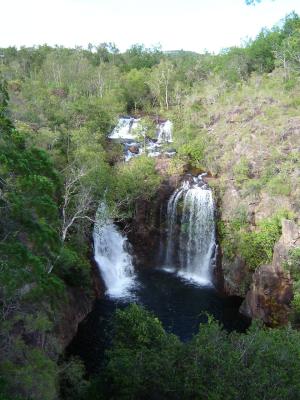 West-Coast-pic440-Litchfield-NP-Florence-Falls