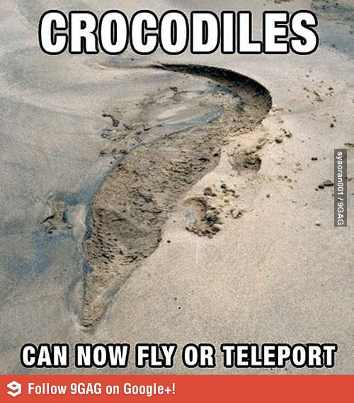 Crocodiles