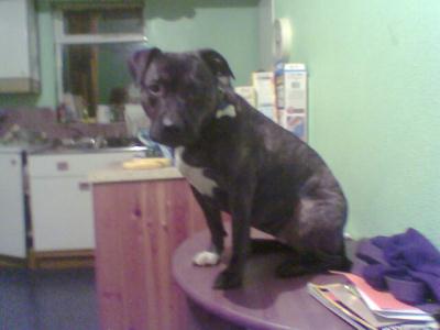 image008