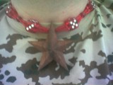 foto_01_1