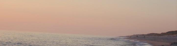 header
