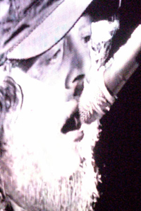 Peter Dietrich Blog Zucchero 1 Peter Dietrich Blog Zucchero 1