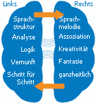 linke-rechte-Hemisphaere
