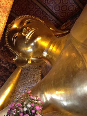 JX-0EWXBCrXB-ddcigx9boyglMkbGr5oMuNY8Qpfp3k7