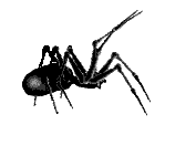 Click & Crawl