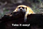 lustiges_takeiteasy