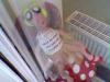 bild015