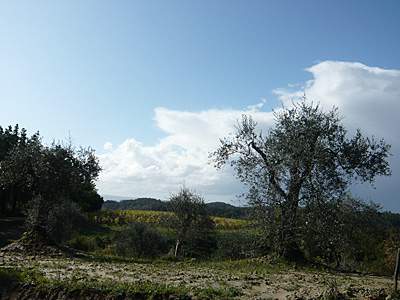 toscana