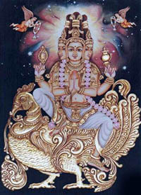 brahma