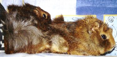 Der Kleine und der Große (hier beide klein)