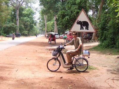 Elektrobike oder Elefant?