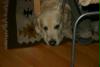 faul01