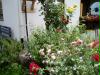 garden02