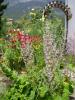 garden04