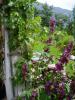 garden05