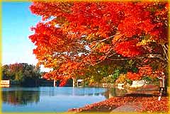 herbst