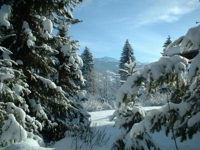 kitz_02