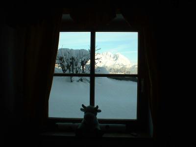 kitz_03