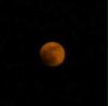 mond
