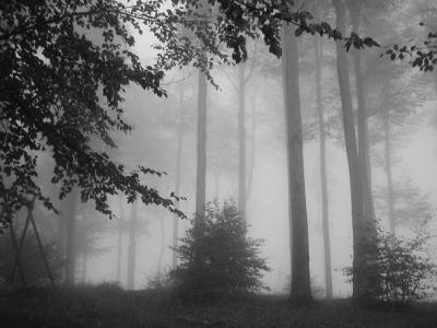nebel