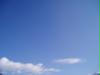 tirlo_6
