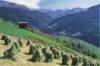 tirol
