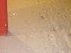 winter_2