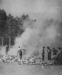 auschwitz-birkenau02