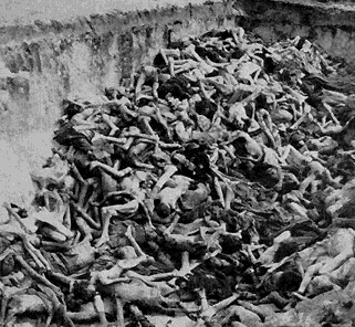 auschwitz6