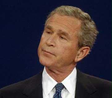 bush